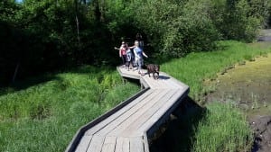 wooden bridge of Hospice society in Summerland, BC